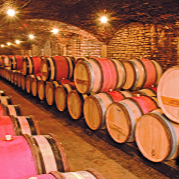 Caveau Henri de Villamont - Dégustation Prestige - SAVIGNY-LES-BEAUNE