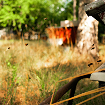 Rucher des Coteaux de Valverset - LEUGLAY