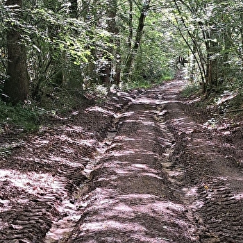 Randonnée accompagnée avec Amandine Chevallier, Guide-conférencière - BEINE