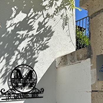 Le Logis des Pinces Maillées - MONTECHEROUX