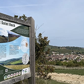 Mont Saint-Roch - Point de vue de la Madone - SAINT-GENGOUX-LE-NATIONAL