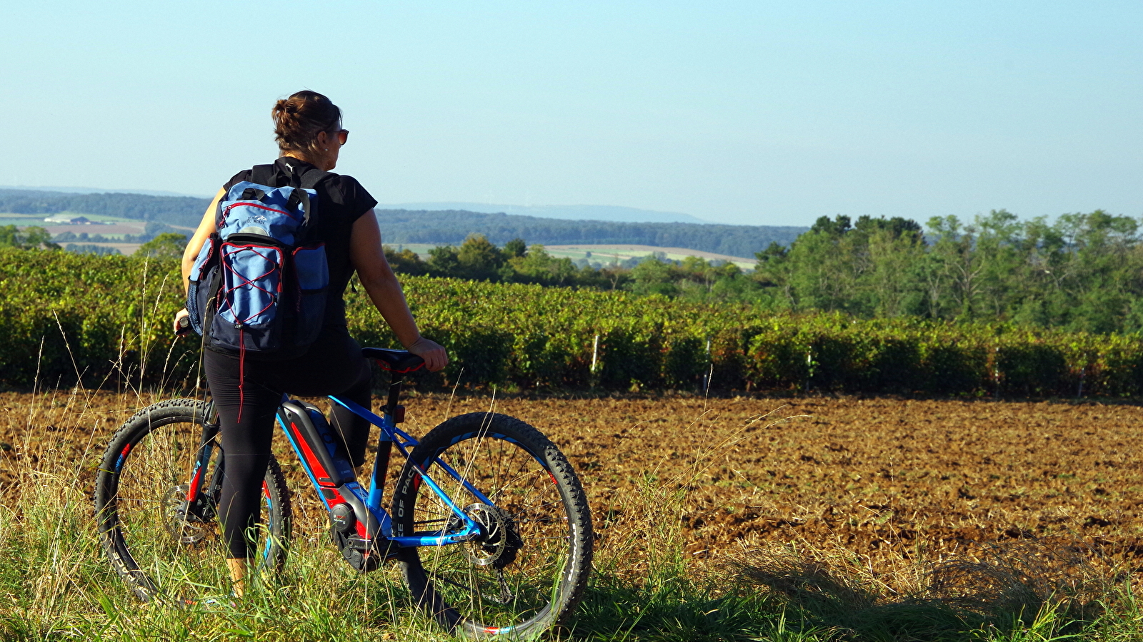 Boucle cyclable n°19 - des Vieilles Vignes