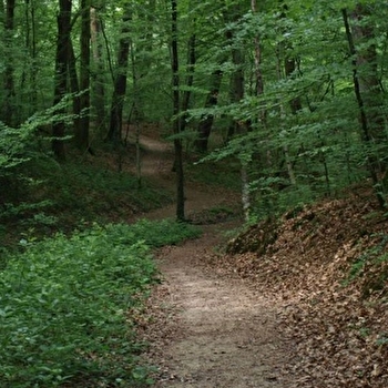 Parcours de santé à Châtenois - CHATENOIS