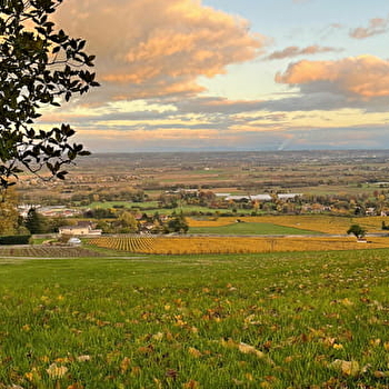 Château de Lachassagne - LACHASSAGNE