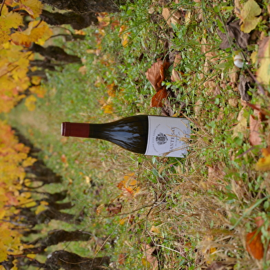 Domaine Clos Saint Jean Oenotourisme