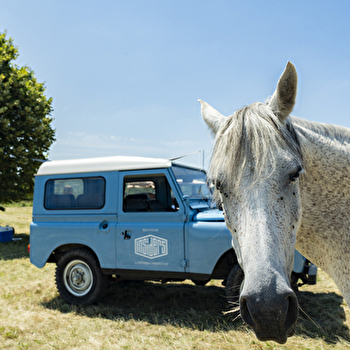 Beaujolais Insiders - ROMANECHE-THORINS