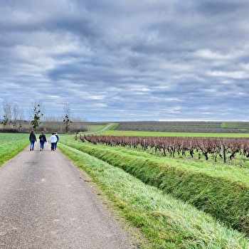 Entre caves et claire fontaine de Saint-Andelain - SAINT-ANDELAIN