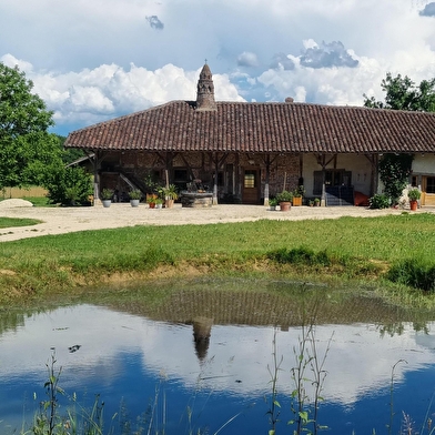 Circuit VTTAE n°26 (noir) - Tour de St Didier d'Aussiat