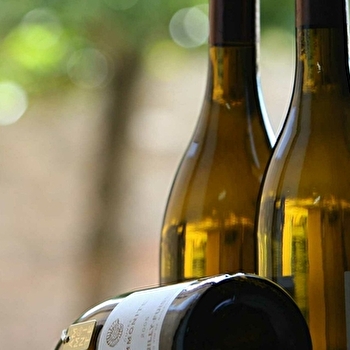 Bouchacourt Denis - SOLUTRE-POUILLY