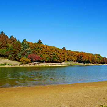 Balade à l'étang de Niffond - VARENNES-VAUZELLES