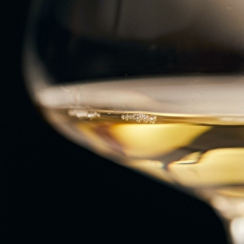 Domaine Fumey Chatelain - MONTIGNY-LES-ARSURES