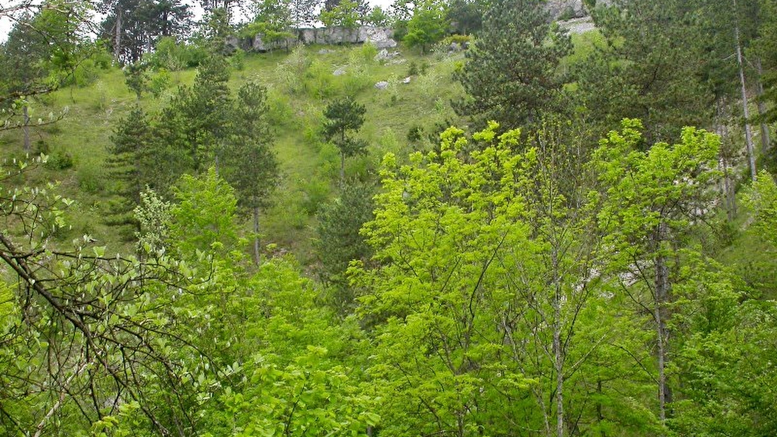 Cirque de la Coquille