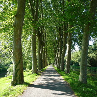 La Voie Bleue® Moselle Saône à vélo - Etape Tournus - Fleurville - Pont-de-Vaux