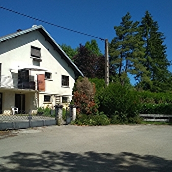 Les écureuils - PONT-DU-NAVOY