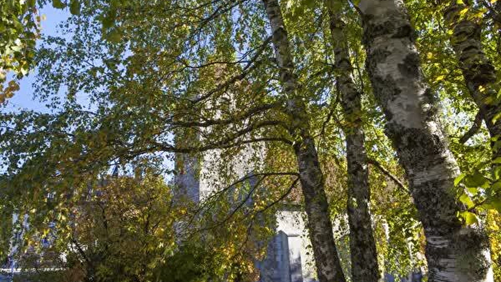 Le sentier de Saint Pierre