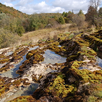 Secrets du Châtillonnais au marais du Cônois - BURE-LES-TEMPLIERS
