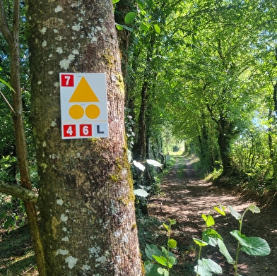 Circuit Gravel n°4 (rouge) - La Voie Royale des bois de But