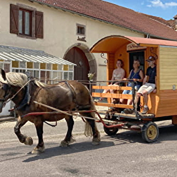 Roulottes de Fontenois / Roulez Nature - FONTENOIS-LA-VILLE