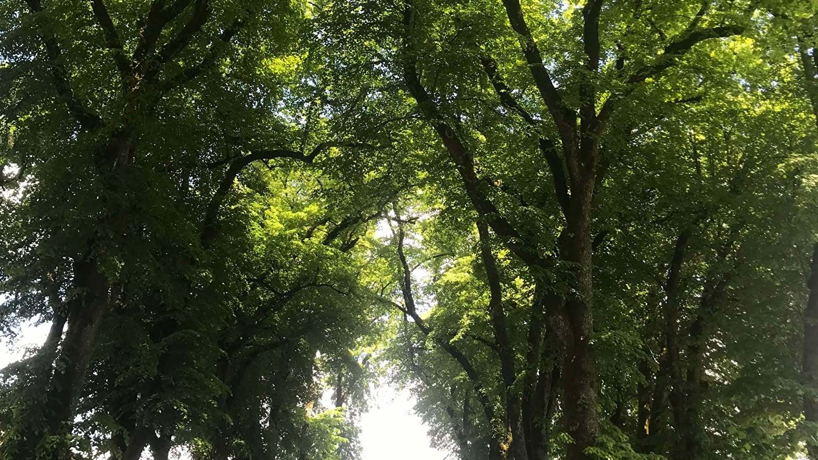 Promenade Jean Macé