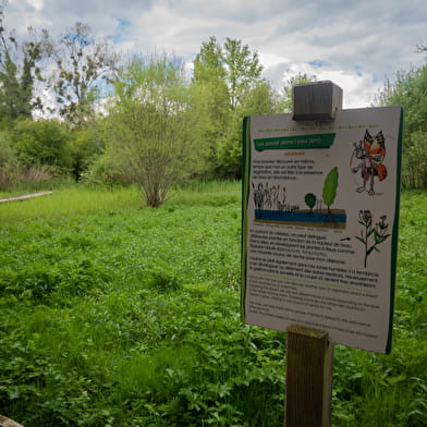 Balade en famille : les sentiers-nature du Domaine de la Beue