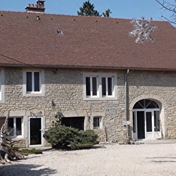 Les castors loufoques - NOGNA