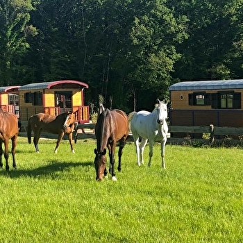 Les roulottes - SAINT-FARGEAU