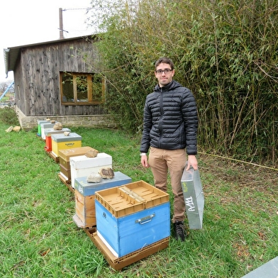 Julien COMPAGNON - Apiculteur professionnel