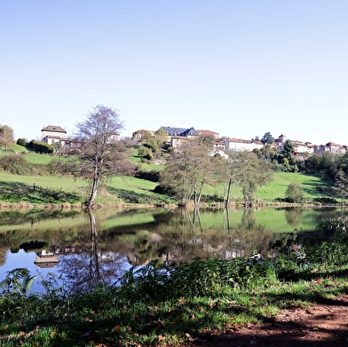 Itinéraire VTT : circuit 22 rouge, base Belmont-de-la-Loire