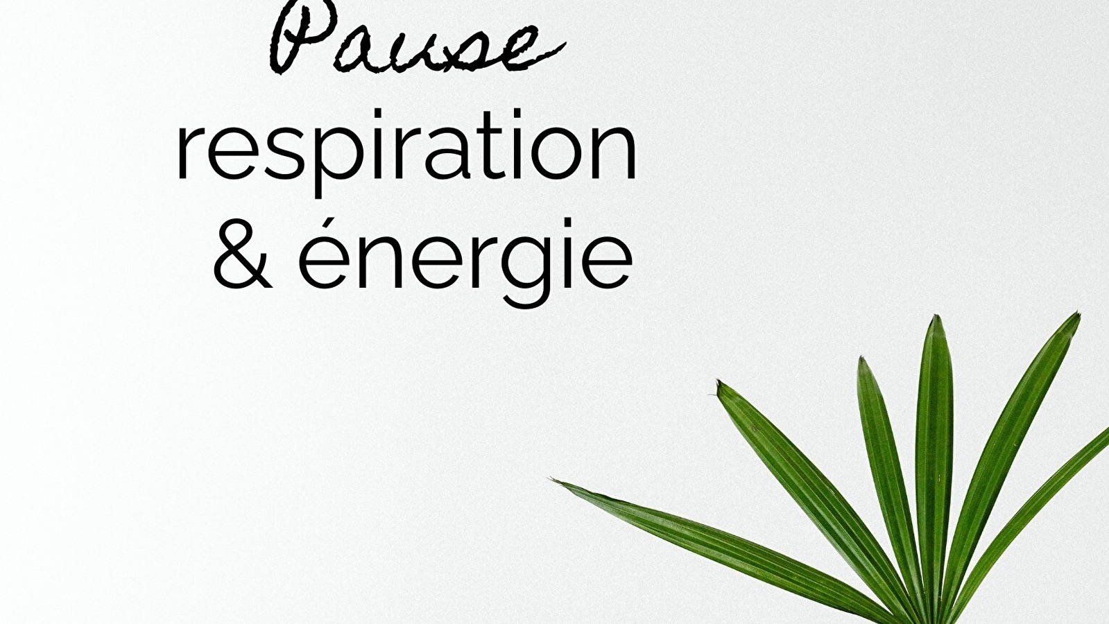 Pause respiration & énergie