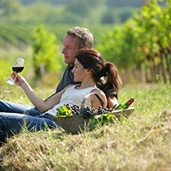 Dégustation vins de Bourgogne - DIJON