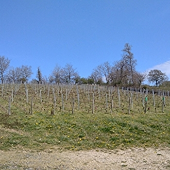 SAINT-BONNET-DE-VIEILLE-VIGNE - SAINT-BONNET-DE-VIEILLE-VIGNE
