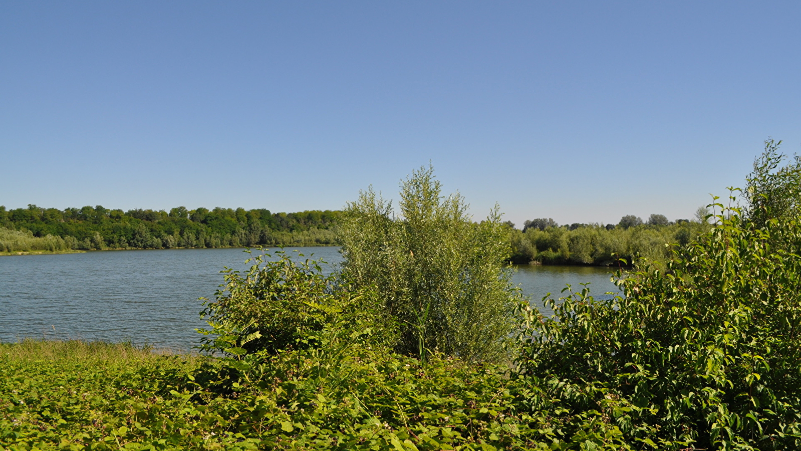Micro aventure Lône du Val de Saône