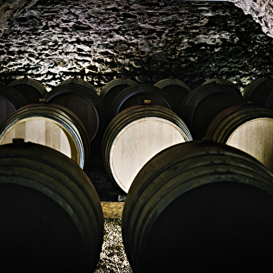 Château du Moulin-à-Vent, une histoire de terroirs!