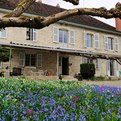 Le Conte de Nivollet