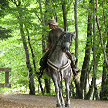 Ecole d'Equitation - Les Gambades - GACOGNE