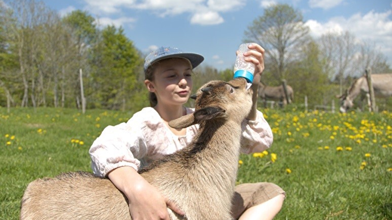Ferme Découverte du Barboux