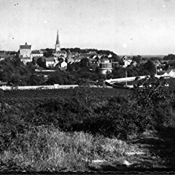 Meursault noir sur blanc - visite guidée nostalgique - MEURSAULT