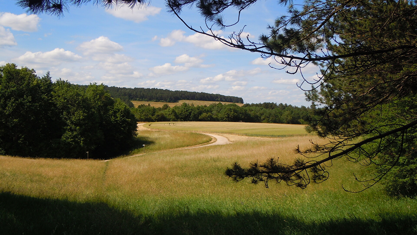 Parc de la Combe à la Serpent