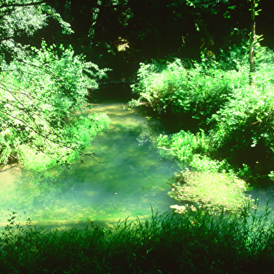 Balade - Verjon et Salavre, deux villages du Revermont
