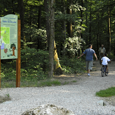 Sentier de découverte en famille dans la Forêt de Seillon