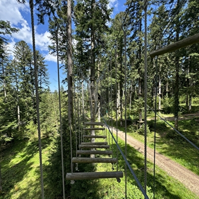 Station de Loisirs de la Combe Saint-Pierre - Accrobranche