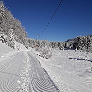 Piste multi-activités : le Niaizet - LELEX