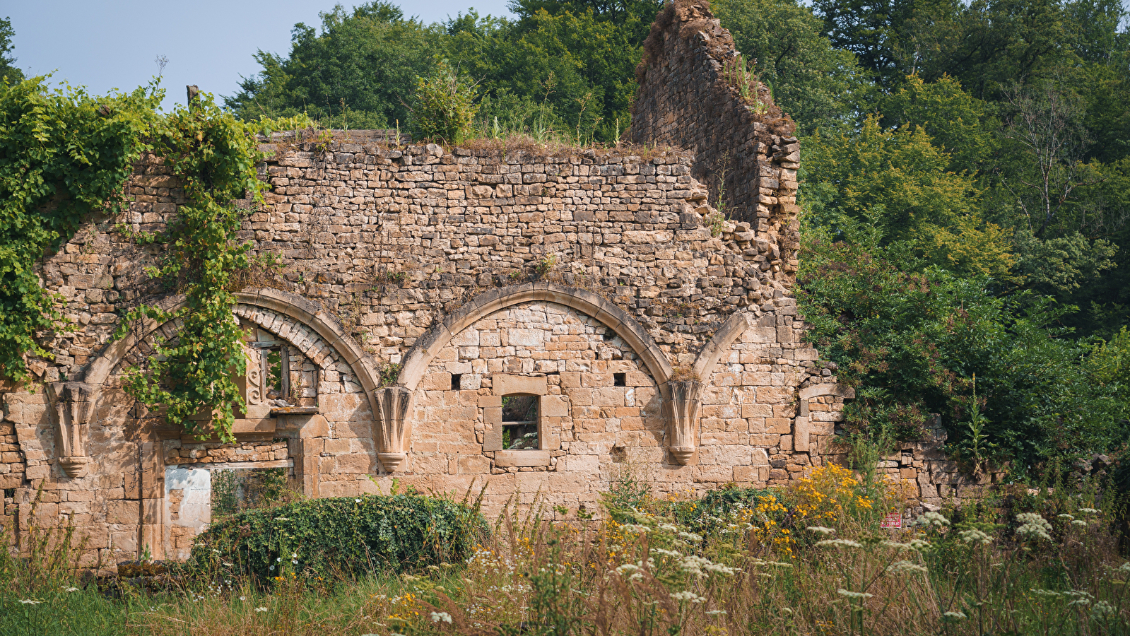 Vestiges du palais abbatial de l'abbaye de Cherlieu 