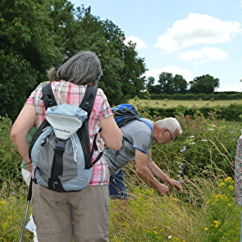 Circuit de Pierre Luzière - TINTRY