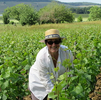 Caveau des Beaupoirs - CHOREY-LES-BEAUNE
