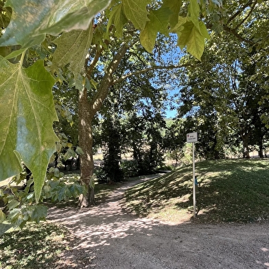 Sur les pas de Charles Dorel