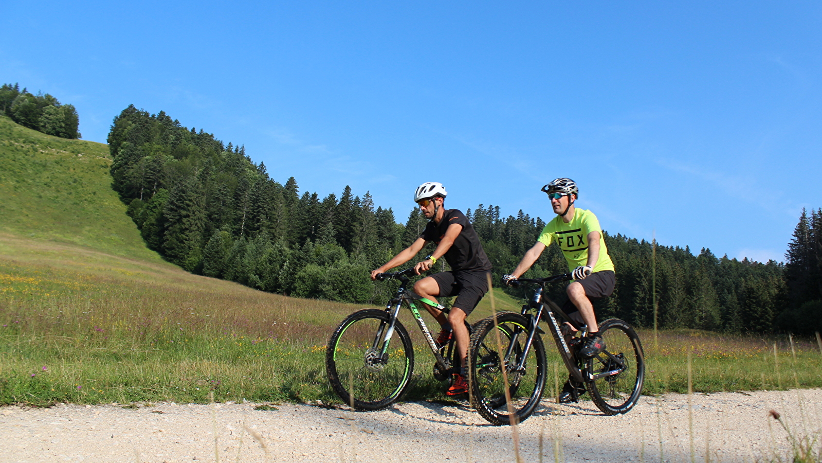 Parcours VTT 63 bleu - La Borne des 3 Cantons - Espace VTT Ain Forestière