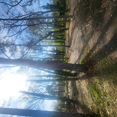 Restaurant du camping