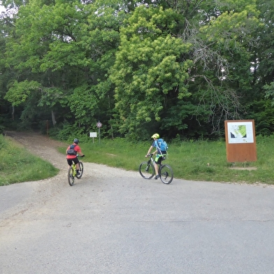 Parcours VTT 82 - bleu - Les Rochassons - Espace FFC Ain Forestière