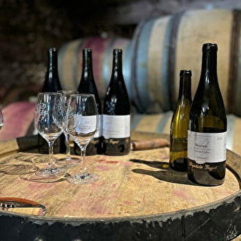 Domaine Baptiste GUYOT : Découverte de nos vins et des caves - BEAUNE